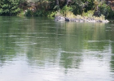 Hydrologic Services for Non-Profits and Conservation Realtors