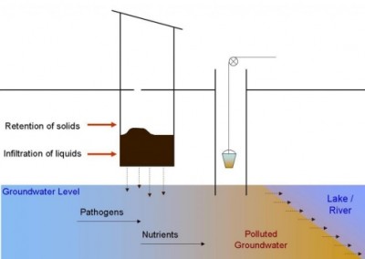 Nutrient Pathogen Studies