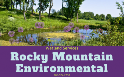 Rocky Mountain Wetland Science Services