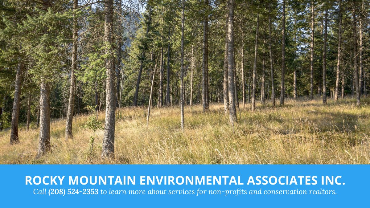 Idaho Conservation Realtor Services 2085242353