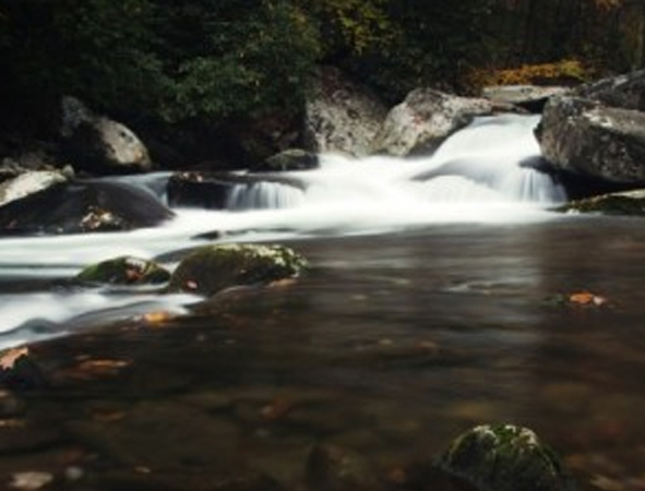 Water Allocation