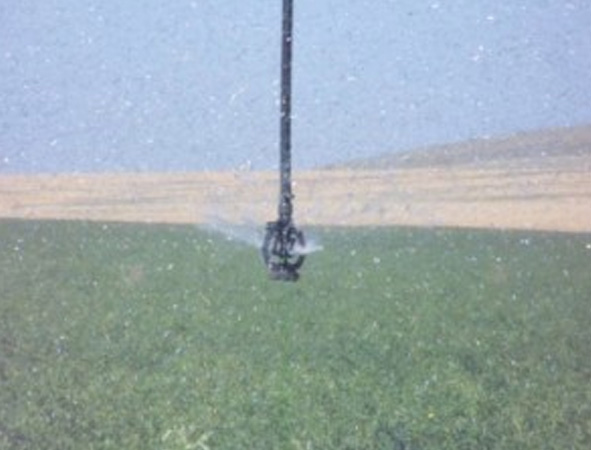 water-right-research